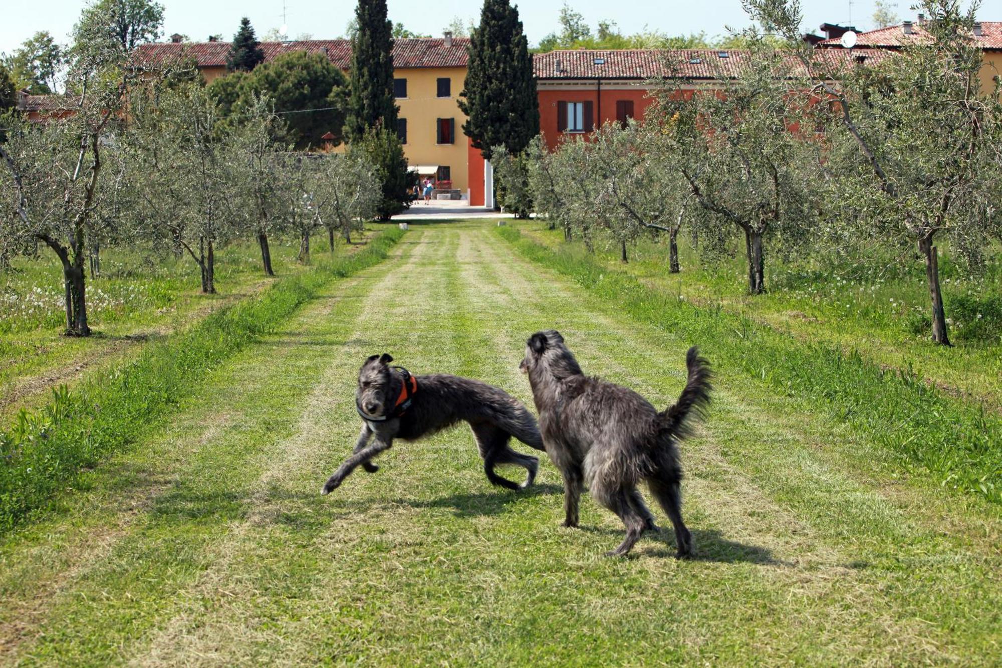 Agriturismo La Filanda Manerba del Garda Zewnętrze zdjęcie
